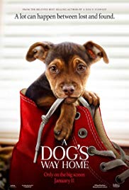 A Dog's Way Home (2019) เพื่อนรักผจญภัยสี่ร้อยไมล์ 