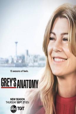 Grey's Anatomy Season 15 (2018) แพทย์มือใหม่หัวใจเกินร้อย
