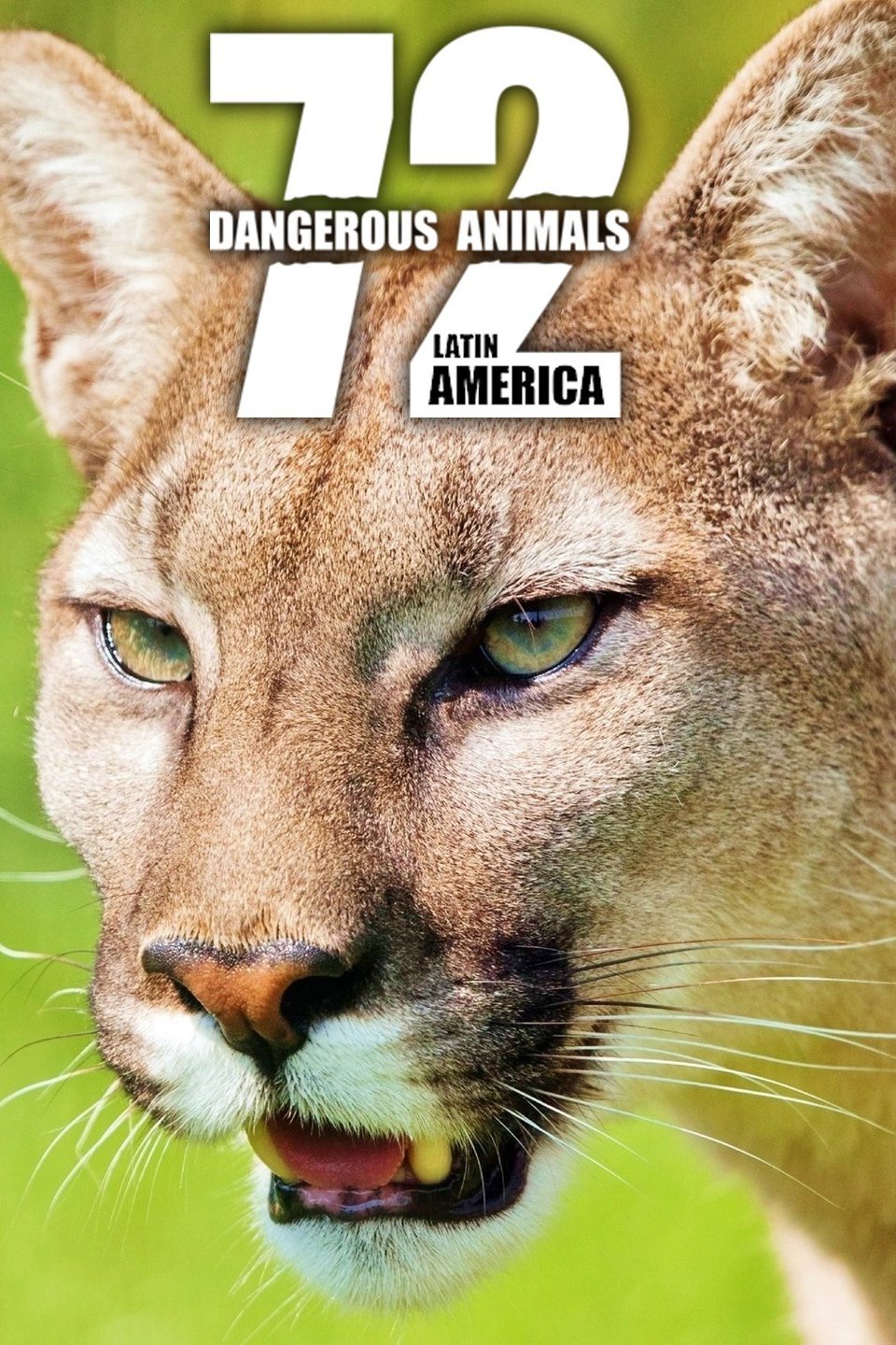 72 Dangerous Animals (2017) สัตว์อันตราย ลาตินอเมริกา