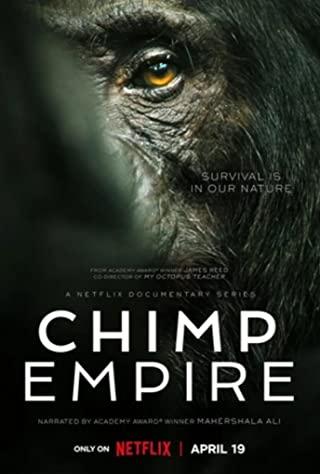 Chimp Empire Season 1 (2023) อาณาจักรชิมแปนซี [พากย์ไทย]