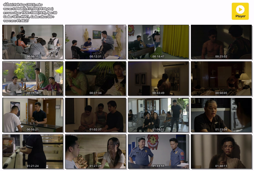 Fall Guy (2023) [ไม่มีซับไทย]
