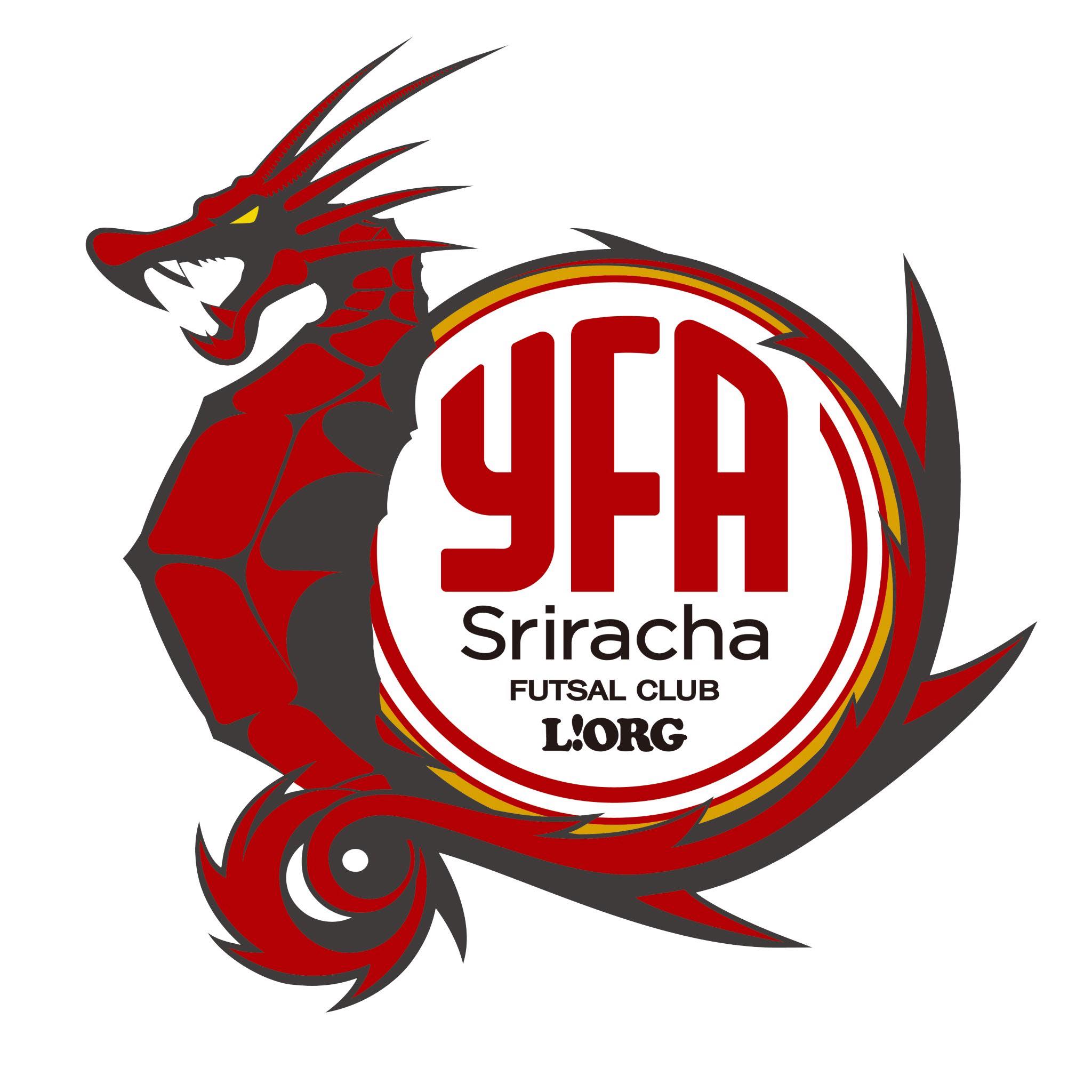team logo
