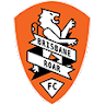 team logo