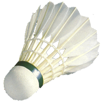 Badminton